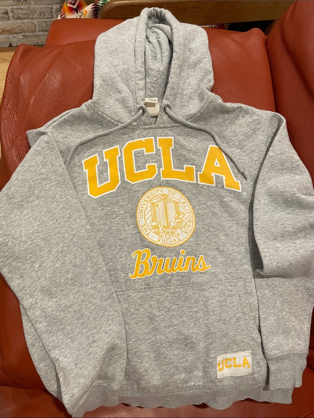 H&M Gray UCLA Bruins Hooded Sweatshirt with Gold Print